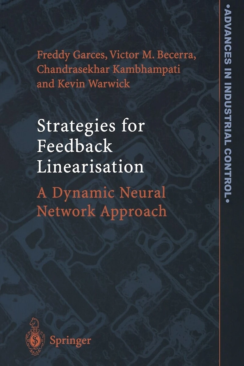 Strategies For Feedback Linearisation: A Dynamic Neural Network Approach