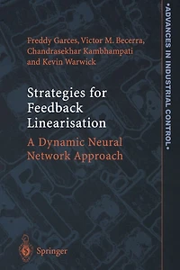 Strategies For Feedback Linearisation: A Dynamic Neural Network Approach