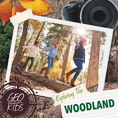 Exploring The Woodland