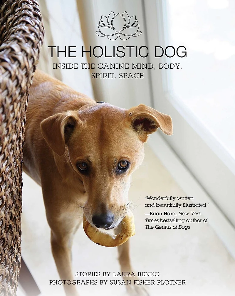 the Holistic Dog: Inside Canine Mind, Body, Spirit, Space