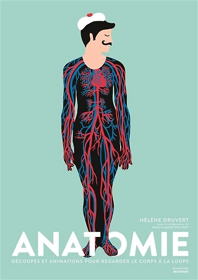 Anatomie: Découpes et animations pour regarder le corps à la loupe