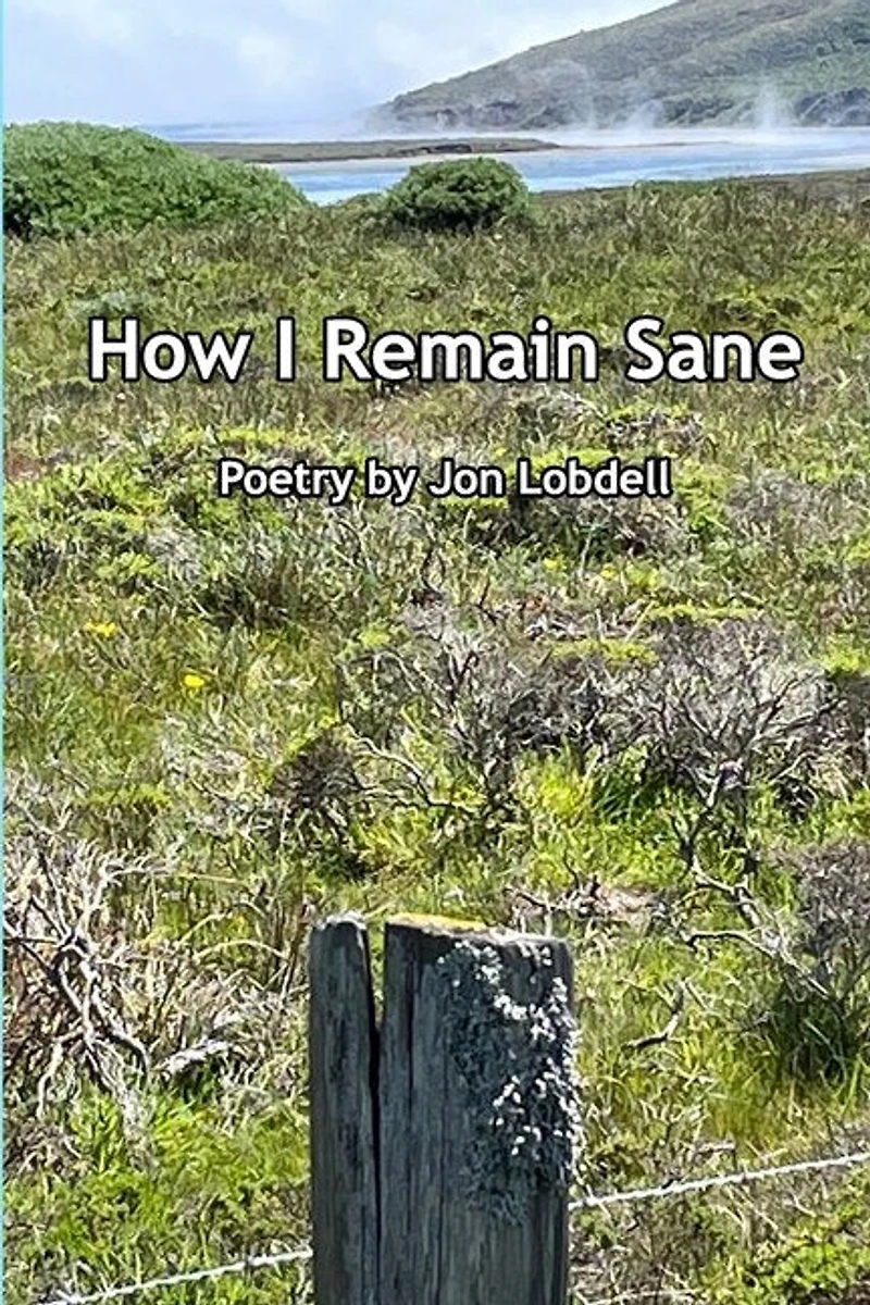 How I Remain Sane