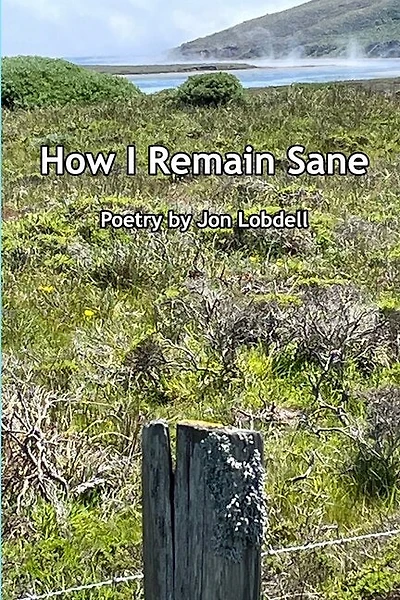 How I Remain Sane