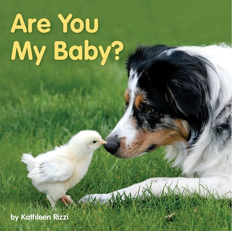 Are You My Baby?: Arabic/english