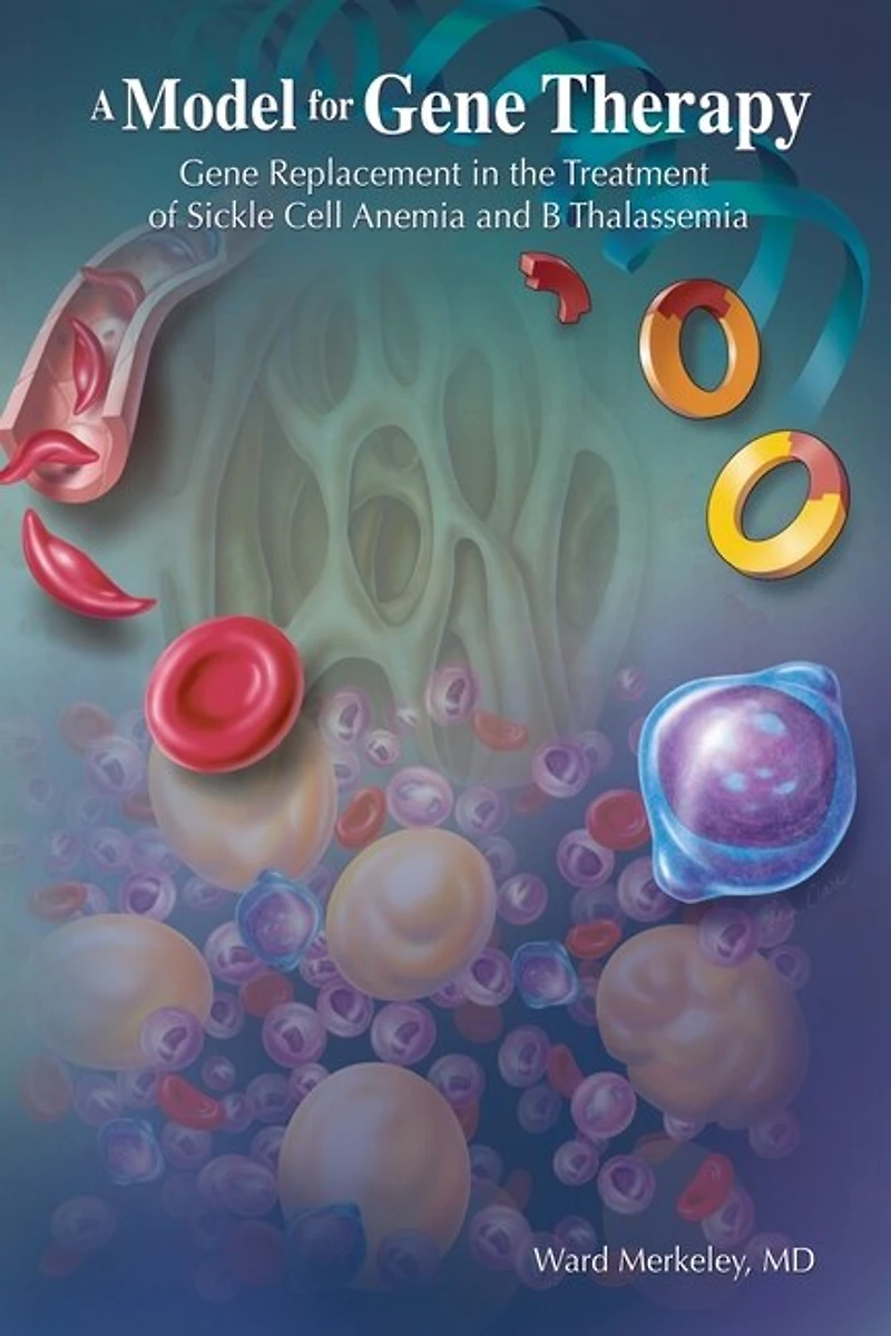 A Model For Gene Therapy: Replacement The Treatment Of Sickle Cell Anemia And Thalassemia