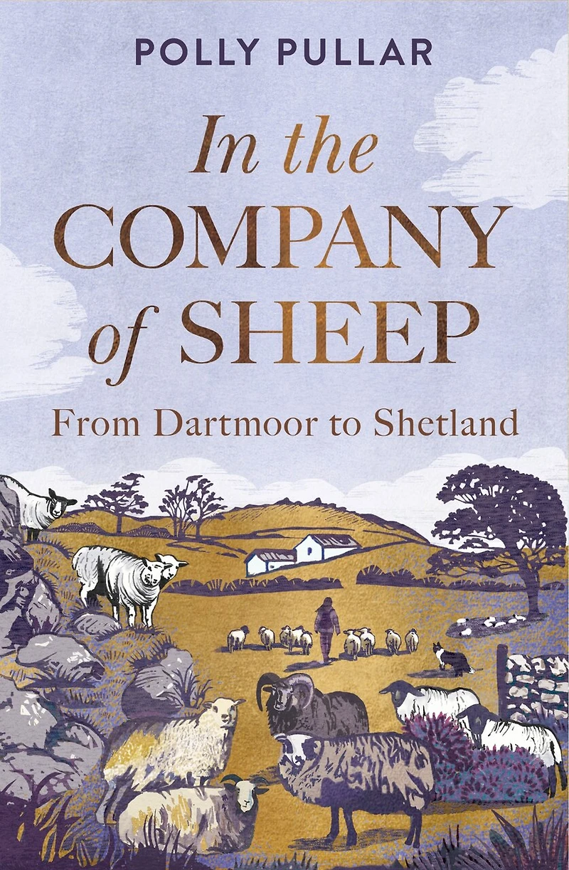 the Company of Sheep: From Dartmoor to Shetland