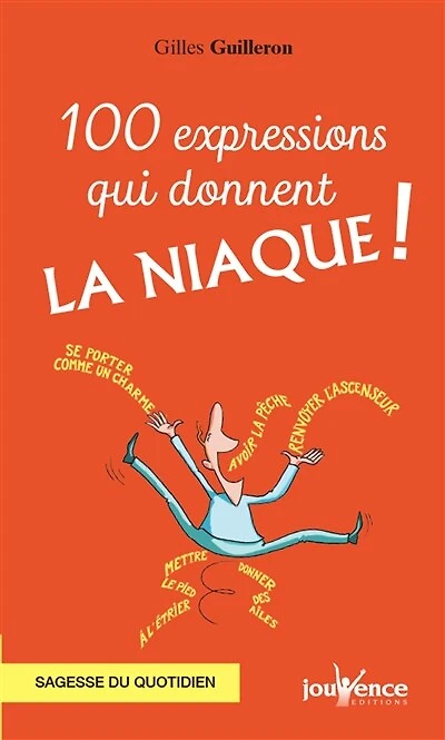 100 expressions qui donnent la niaque ! : sagesse du quotidien: quotidien
