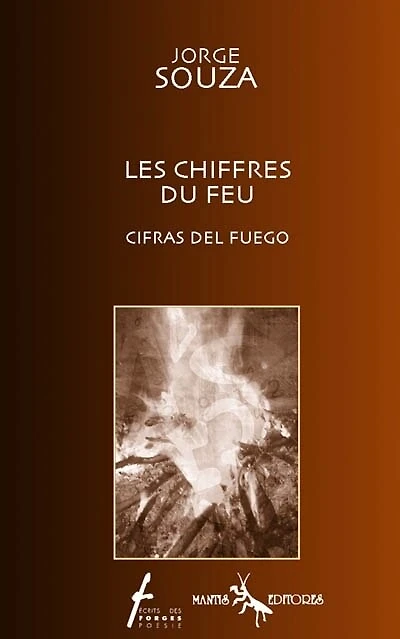Les chiffres du feu
