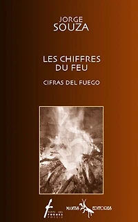 Les chiffres du feu