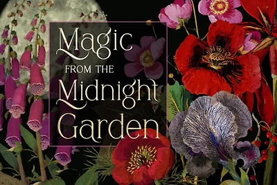 Magic from the Midnight Garden: Dark Beauty, Mystery, and Wisdom (36 Full-Color, Gilt-Edged Cards)