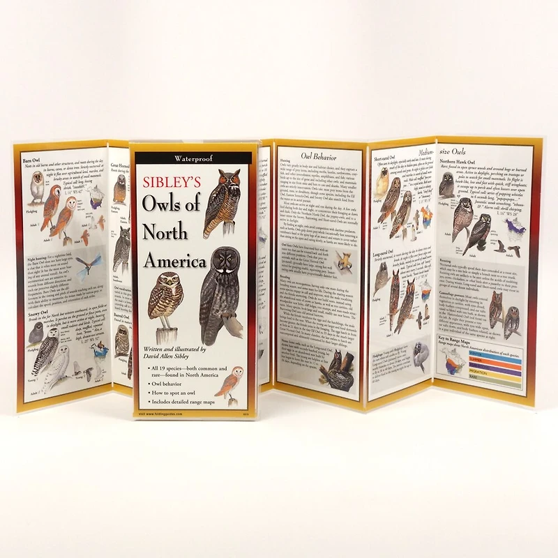 Sibley's Owls Of North America - Folding Guide: 10 pack