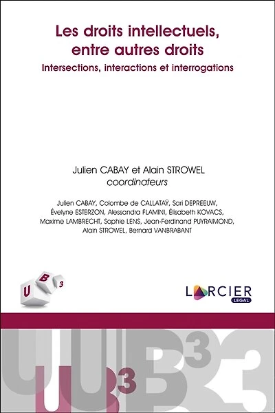Les droits intellectuels, entre autres droits: intersections, interactions et interrogations