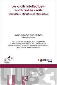 Les droits intellectuels, entre autres droits: intersections, interactions et interrogations
