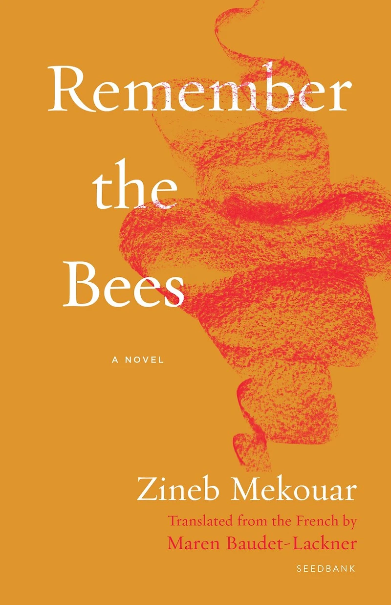 Remember the Bees: A Novel