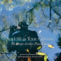 All I See Is Your Glinting: 90 Days the Pandemic