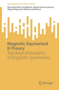 Magnetic Equivariant K-Theory: Topological Invariants of Symmetries