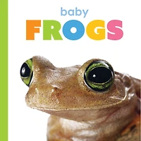 Baby Frogs