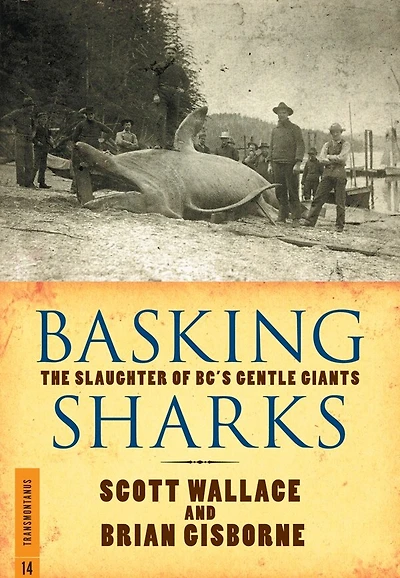 Basking Sharks: The Slaughter Of Bc's Gentle Giants