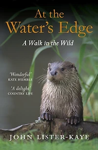At The Water's Edge: A Walk Wild