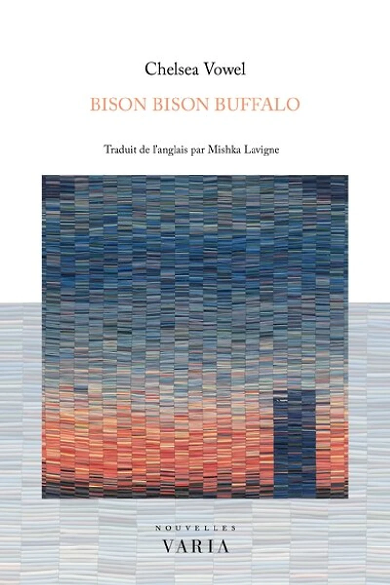 Bison bison buffalo