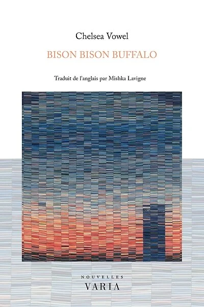 Bison bison buffalo