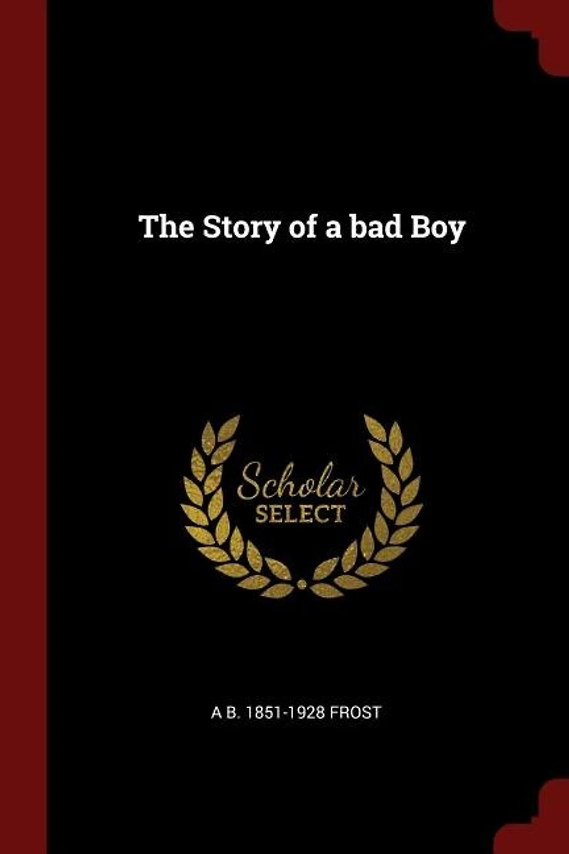 The Story of a bad Boy