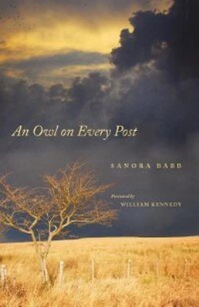 An Owl On Every Post