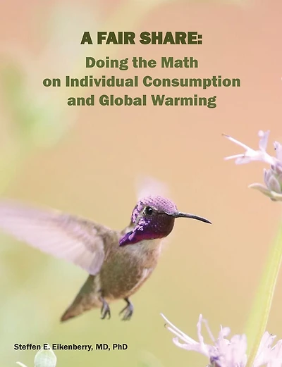 A Fair Share: Doing the Math on Individual Consumption and Global Warming