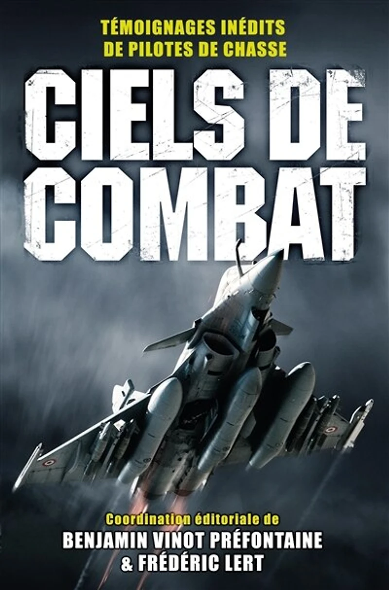 Ciels de combat: témoignages inédits pilotes chasse