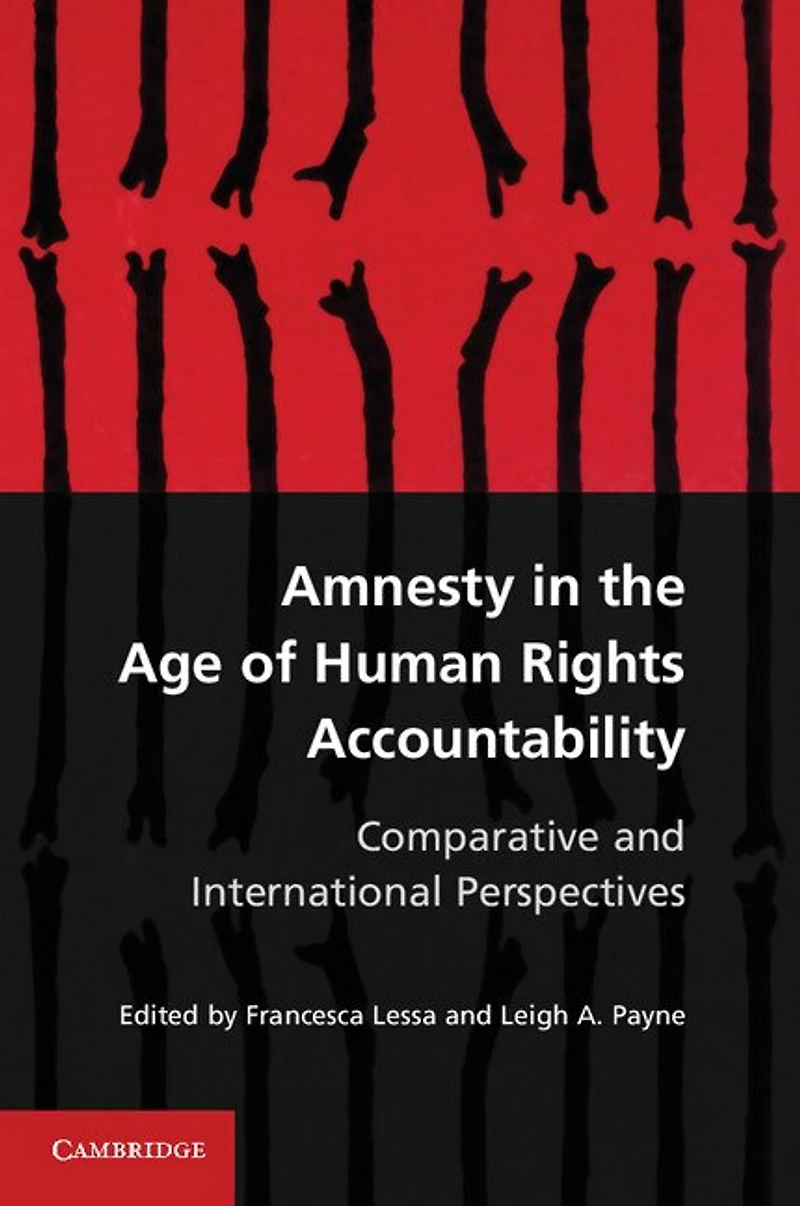 Amnesty the Age of Human Rights Accountability: Comparative and International Perspectives