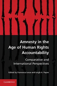 Amnesty the Age of Human Rights Accountability: Comparative and International Perspectives