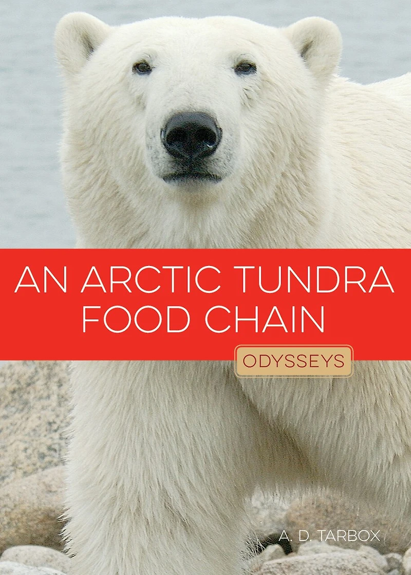 An Arctic Tundra Food Chain: Odysseys In Nature