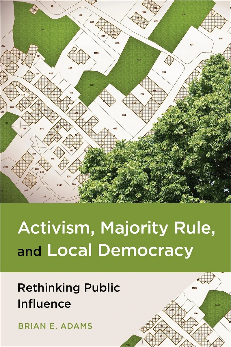 Activism, Majority Rule, and Local Democracy: Rethinking Public Influence