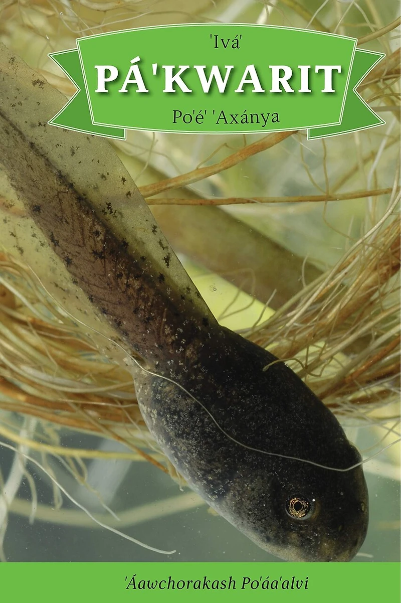 Ivá' Pá'kwarit Po'é' 'Axánya: English Translation: How the Tadpole Got its Legs