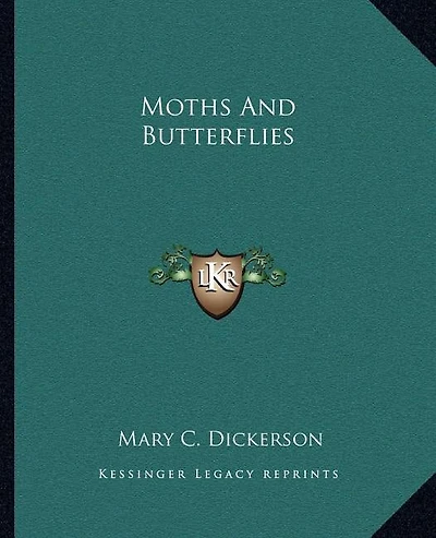 Moths And Butterflies