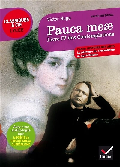 Pauca meae: Les contemplations, livre IV