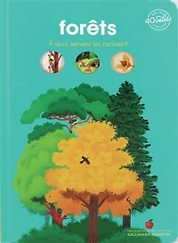 Forêts: à quoi servent les racines ?