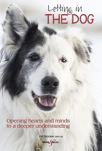 Letting In The Dog: Opening Hearts And Minds To A Deeper Understanding