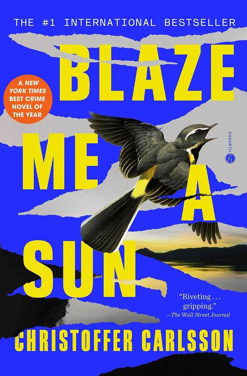 Blaze Me a Sun: Novel About Crime