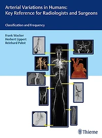 Falsch Angelegt: Classifications And Frequency