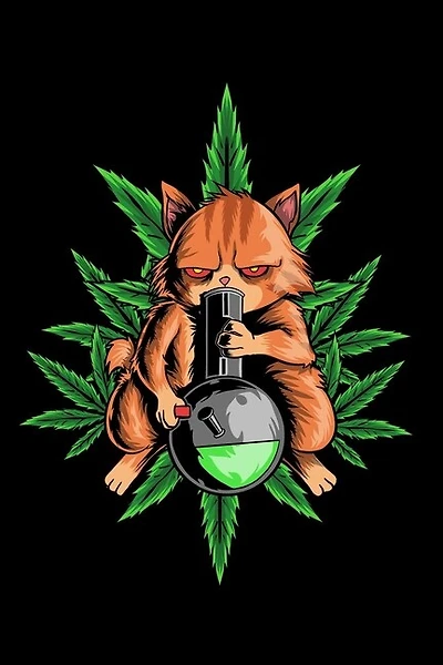 120 Pages DINA5: Cannabis Graphic Jorunal Book For Marijuana Smoker 120 Pages DINA5