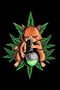 120 Pages DINA5: Cannabis Graphic Jorunal Book For Marijuana Smoker 120 Pages DINA5