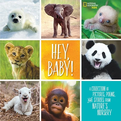Hey, Baby!: A Collection Of Pictures, Poems, And Stories From Nature's Nursery