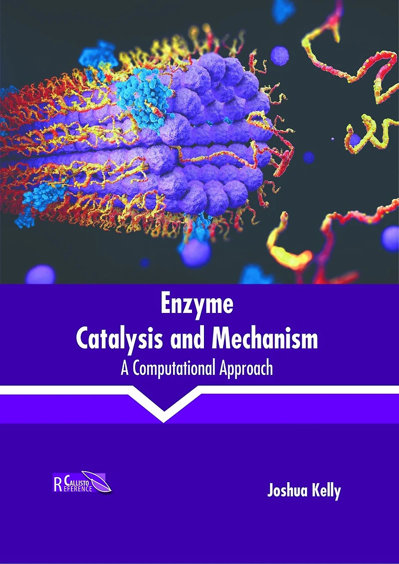 Enzyme Catalysis and Mechanism: A Computational Approach