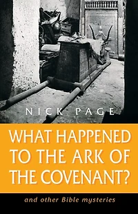What Happened to the Ark of the Covenant?: And Other Bible Mysteries
