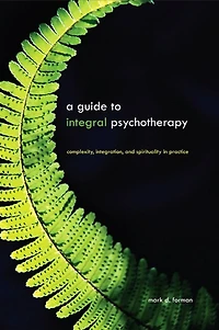 A Guide to Integral Psychotherapy: Complexity, Integration, and Spirituality Practice