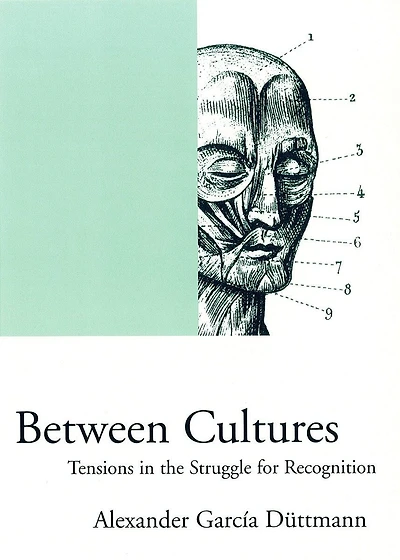 Between Cultures: Tensions In The Struggle For Recognition