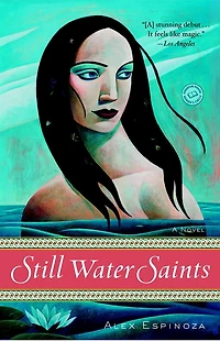 Still Water Saints: A Novel