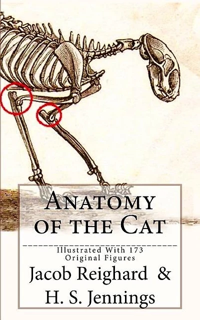 Anatomy of the Cat: [Illustrated With 173 Original Figures]