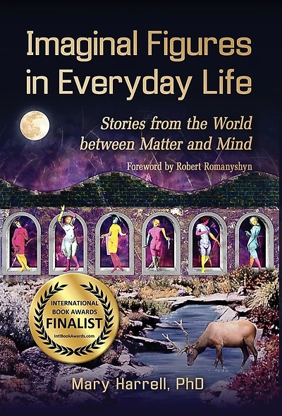 Imaginal Figures Everyday Life: Stories from The World Between Matter And Mind